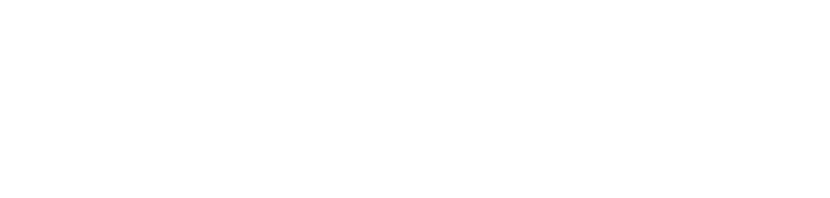 InsightX