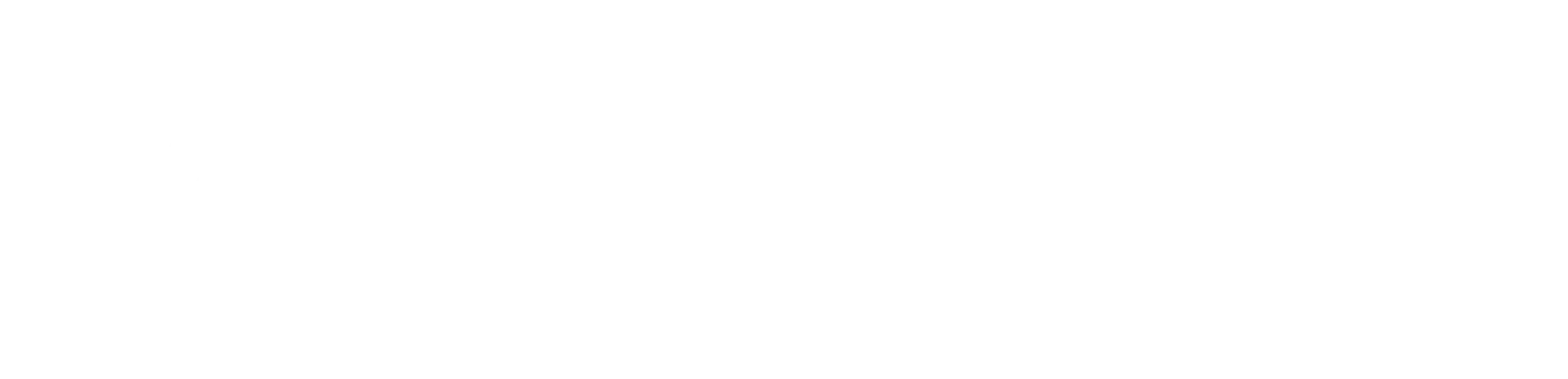 InsightX