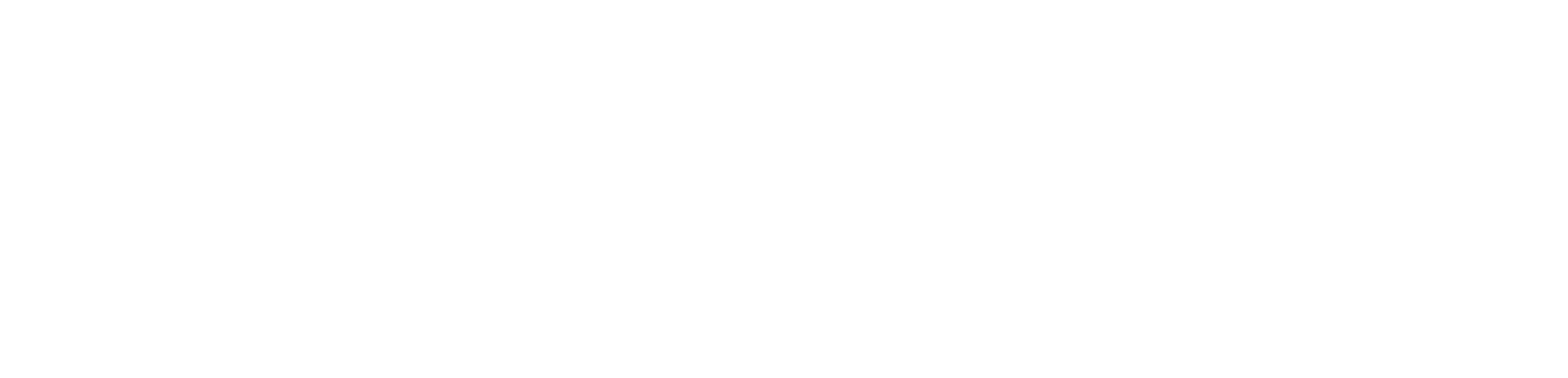 InsightX