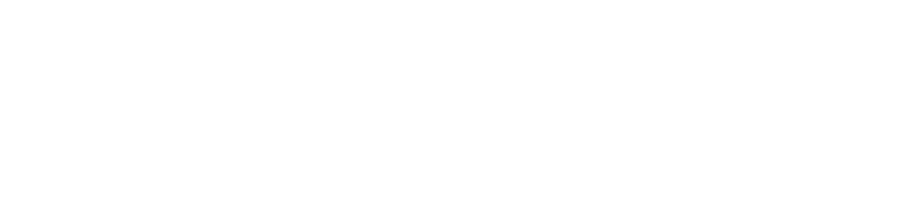 InsightX